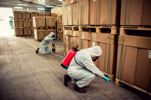 Best Exterminator Services  in Sterling Ranch, CO