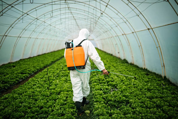 Professional Pest Control in Sterling Ranch, CO