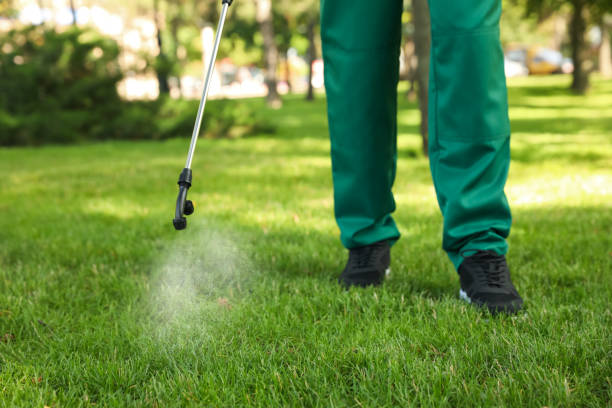 Best Pest Prevention Services  in Sterling Ranch, CO