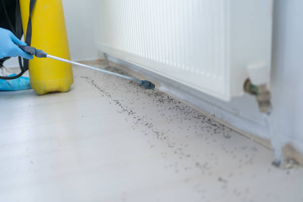 Best Pest Removal Services  in Sterling Ranch, CO