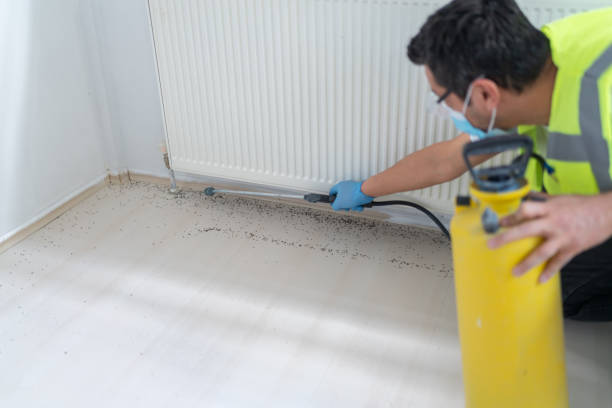 Best Pest Control Treatment  in Sterling Ranch, CO