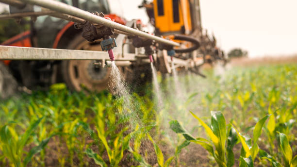 Best Commercial Pest Control Services  in Sterling Ranch, CO